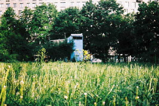 Alien NC400 Color 135/35mm Film
