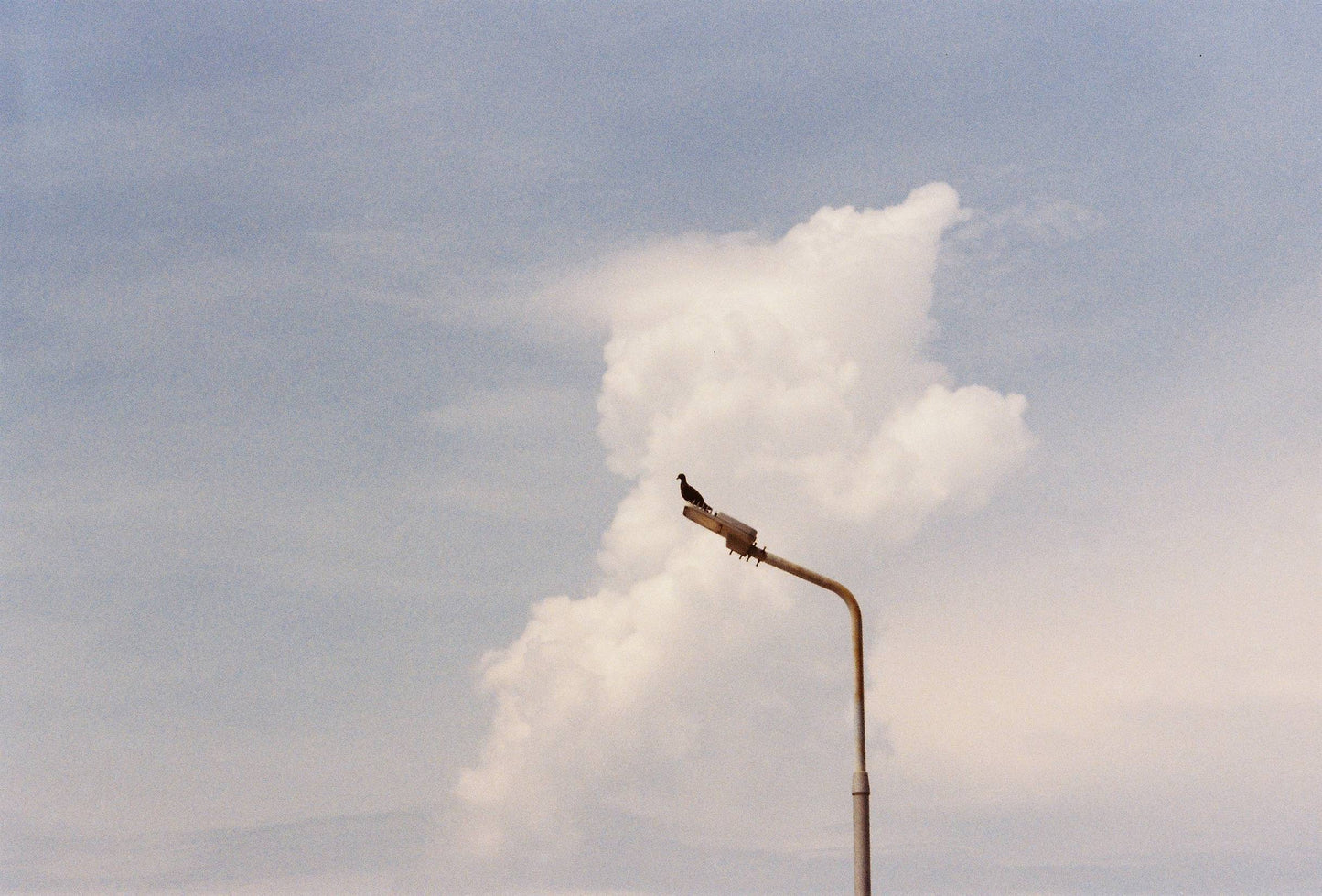 Yes!Star 200 Color 135/35mm Film